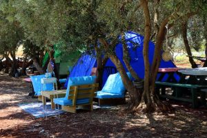 פגשים בחצר - עליזה רון - 0542055172 - קמפינג בוטיק - חממה יוצרת - יחידות ארוח