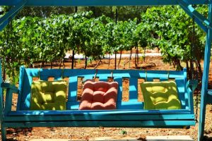 פגשים בחצר - עליזה רון - 0542055172 - קמפינג בוטיק - חממה יוצרת - יחידות ארוח