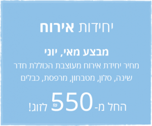 יחידות אירות