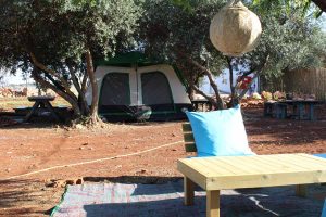 נפגשים בחצר - עליזה רון - 0542055172 - קמפינג בוטיק - חממה יוצרת - יחידות אירוח