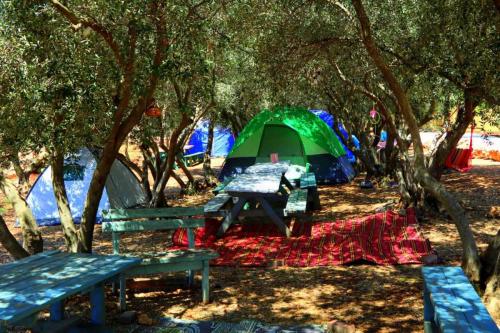 פגשים בחצר - עליזה רון - 0542055172 - קמפינג בוטיק - חממה יוצרת - יחידות ארוח