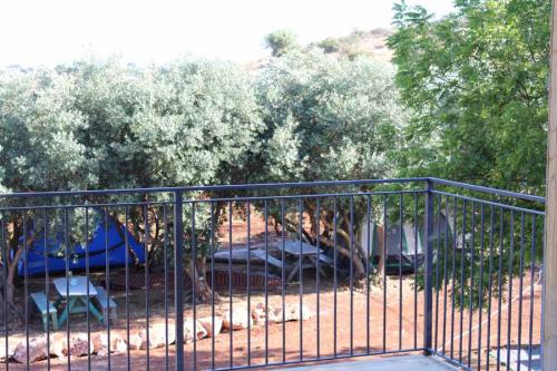 אירוח-משולב-2jpg